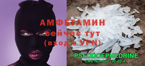 прущие грибы Кинешма