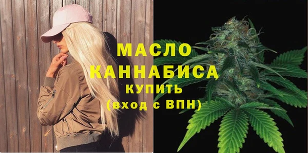 дмт Киреевск